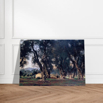 Olive Trees at Corfu - John Singer Sargent Brushed Aluminum Print - 70x100 cm / 28x40 inches | John Singer Sargent Aluminum Print | John Singer Sargent Prints