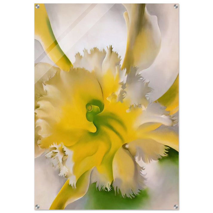 An Orchid - Georgia O'Keeffe Acrylic Print - 70x100 cm / 28x40″ inches