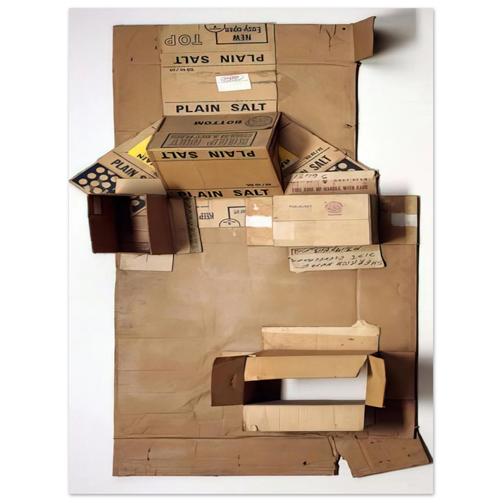 Robert Rauschenberg - PLAIN SALT CARDBOARD 1971  75x100 cm / 30x40inches Fine Art Poster