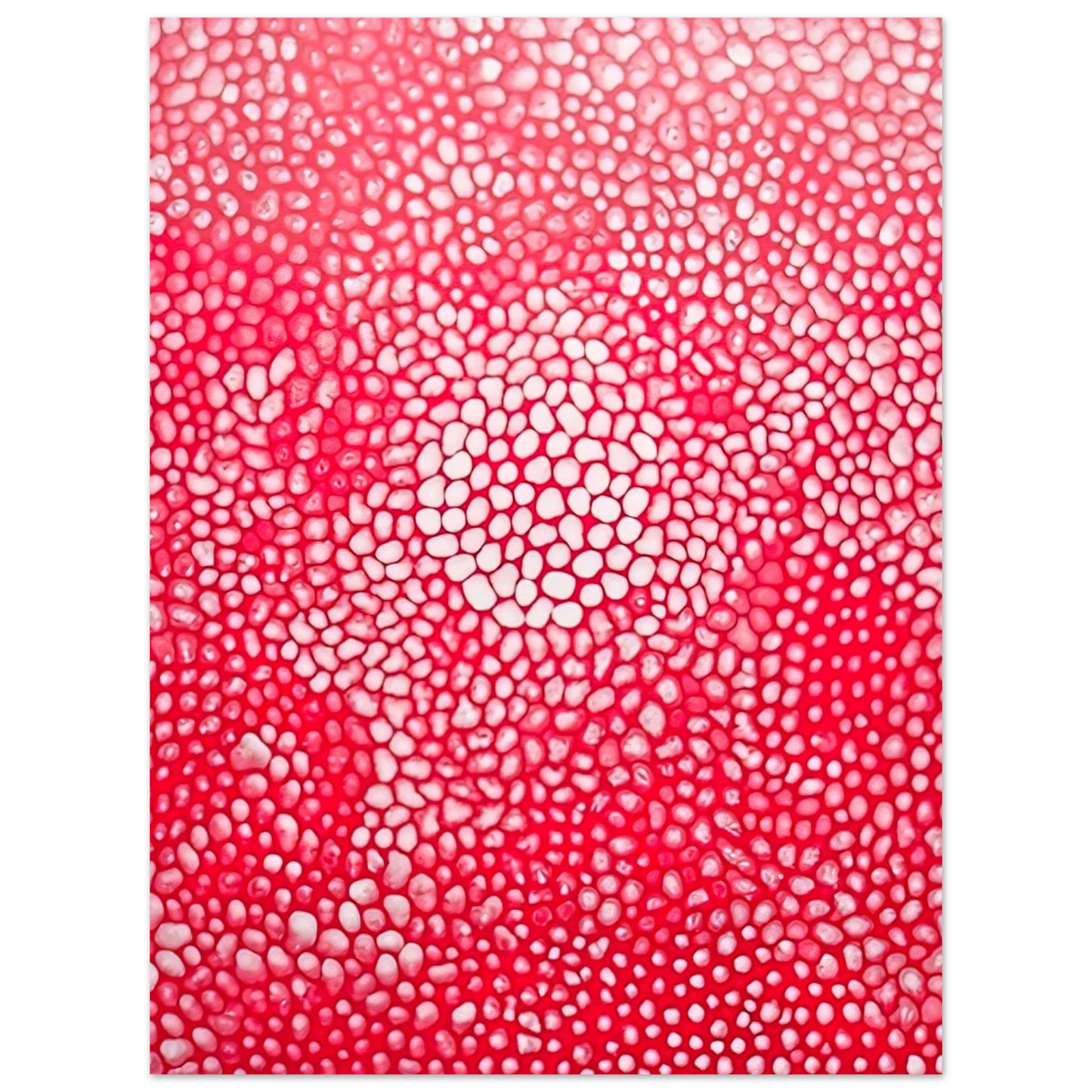 Yayoi Kusama - SUNLIGHT 1998 Fine Art Poster