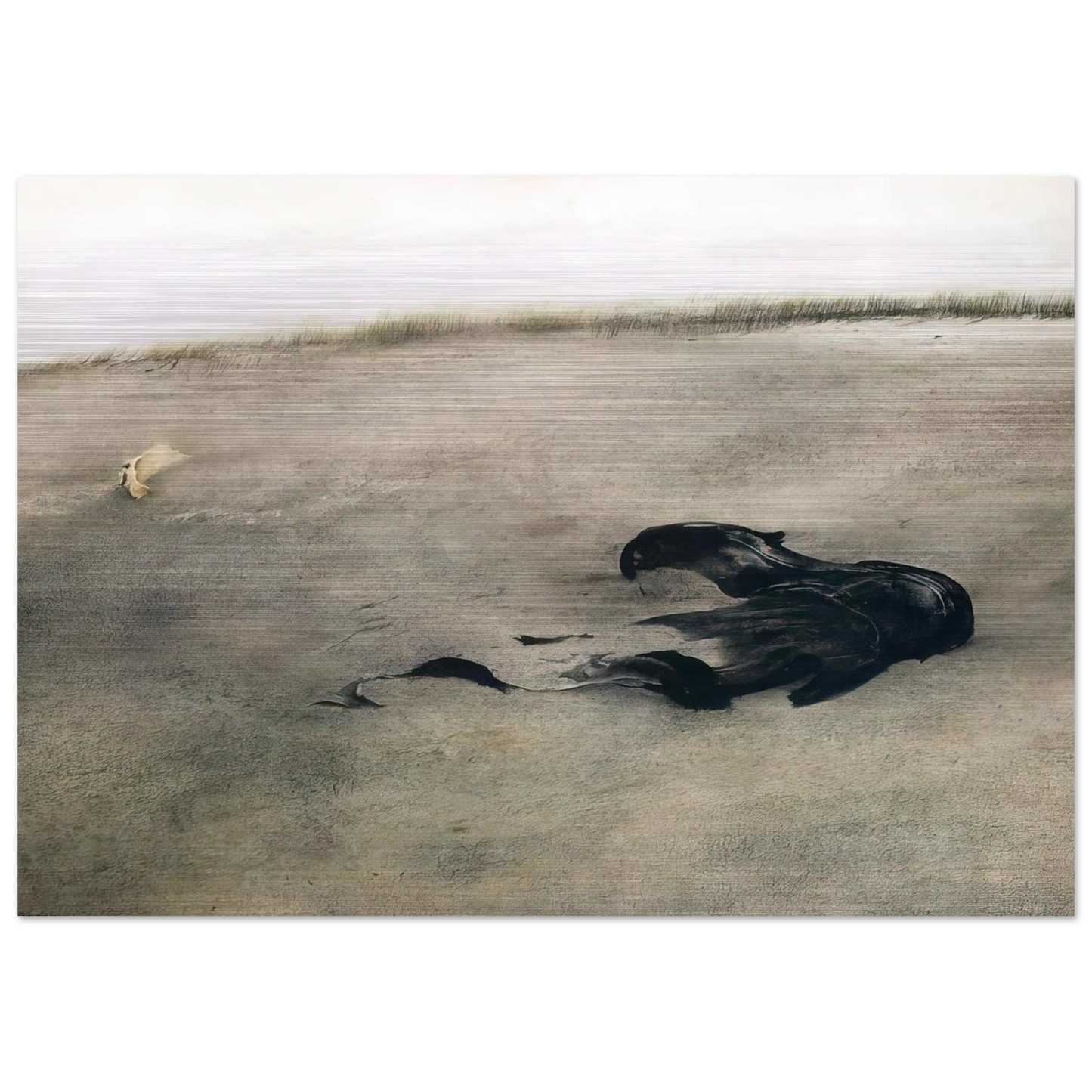 NOT DETECTED 37 - Andrew Wyeth Brushed Aluminum Print - 70x100 cm / 28x40 inches | Andrew Wyeth Aluminum Print | Andrew Wyeth Prints