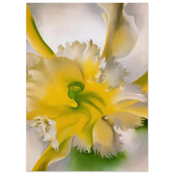 Georgia O'Keeffe - An Orchid Fine Art Poster