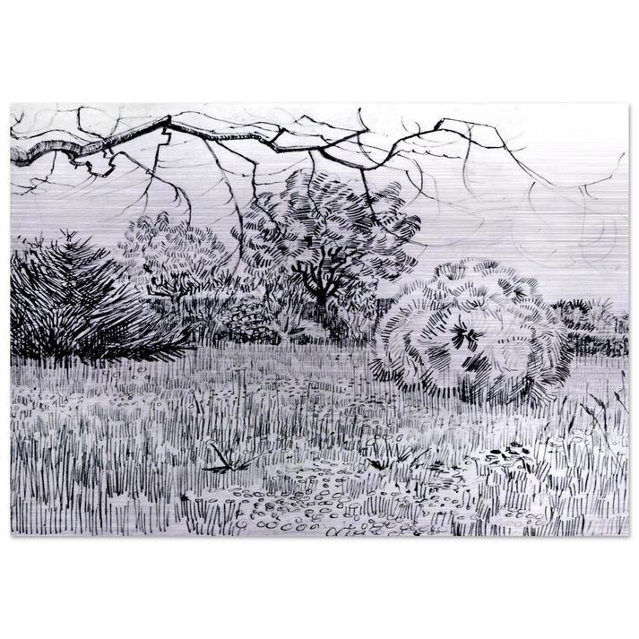 Park at Arles - Vincent van Gogh Brushed Aluminum Print - 70x100 cm / 28x40 inches | Vincent van Gogh Aluminum Print | Vincent van Gogh Prints