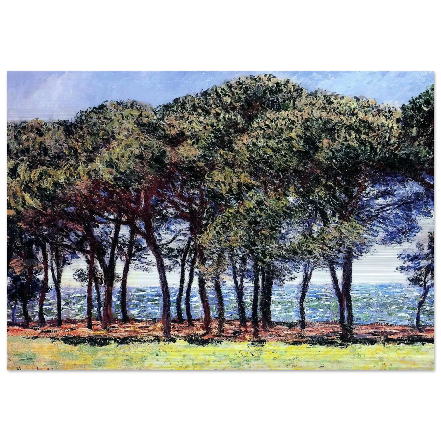 Pine Trees, Cap d'Antibes - claude monet Brushed Aluminum Print - 70x100 cm / 28x40 inches | claude monet Aluminum Print | claude monet Prints