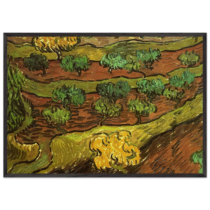 Olive Trees against a Slope of a Hill - Vincent van Gogh 70x100 cm / 28x40 inches Framed Art Print – Black Wooden Frame