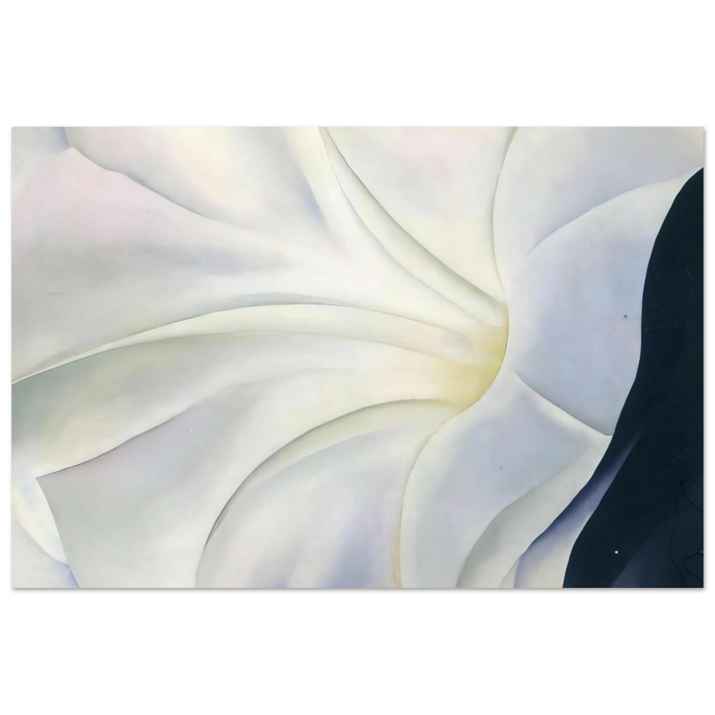 Georgia O'Keeffe - Morning Glory with Black Fine Art Poster