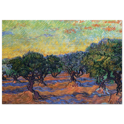 Olive Grove - Orange Sky - Vincent van Gogh Brushed Aluminum Print - 70x100 cm / 28x40 inches | Vincent van Gogh Aluminum Print | Vincent van Gogh Prints