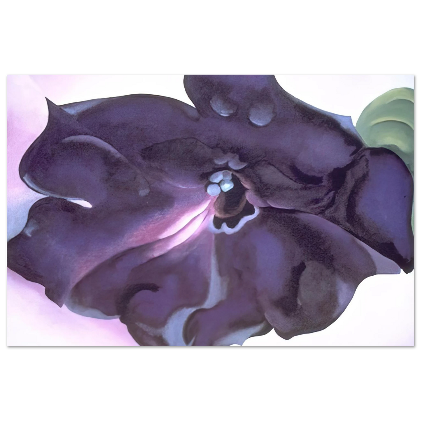 Georgia O'Keeffe - Petunia Fine Art Poster