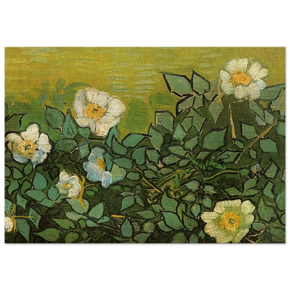 Wild Roses - Vincent van Gogh Brushed Aluminum Print - 70x100 cm / 28x40 inches | Vincent van Gogh Aluminum Print | Vincent van Gogh Prints