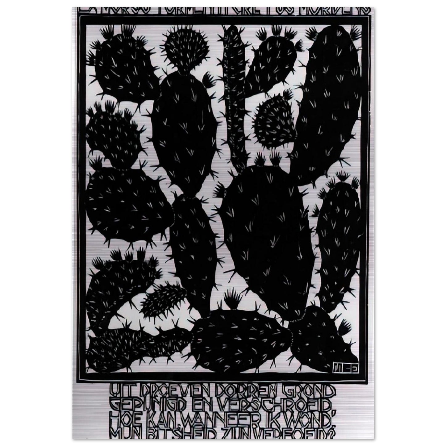 EMBLEMATA CACTUS - MC Escher Brushed Aluminum Print - 70x100 cm / 28x40 inches | MC Escher Aluminum Print | MC Escher Prints