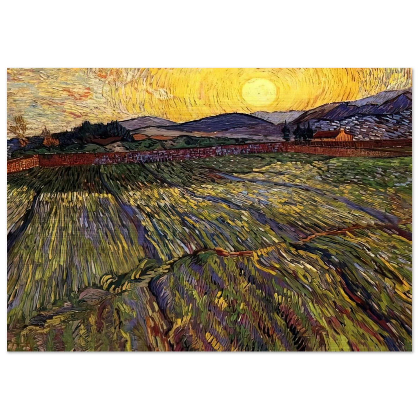 Wheat Field with Rising Sun - Vincent van Gogh Brushed Aluminum Print - 70x100 cm / 28x40 inches | Vincent van Gogh Aluminum Print | Vincent van Gogh Prints