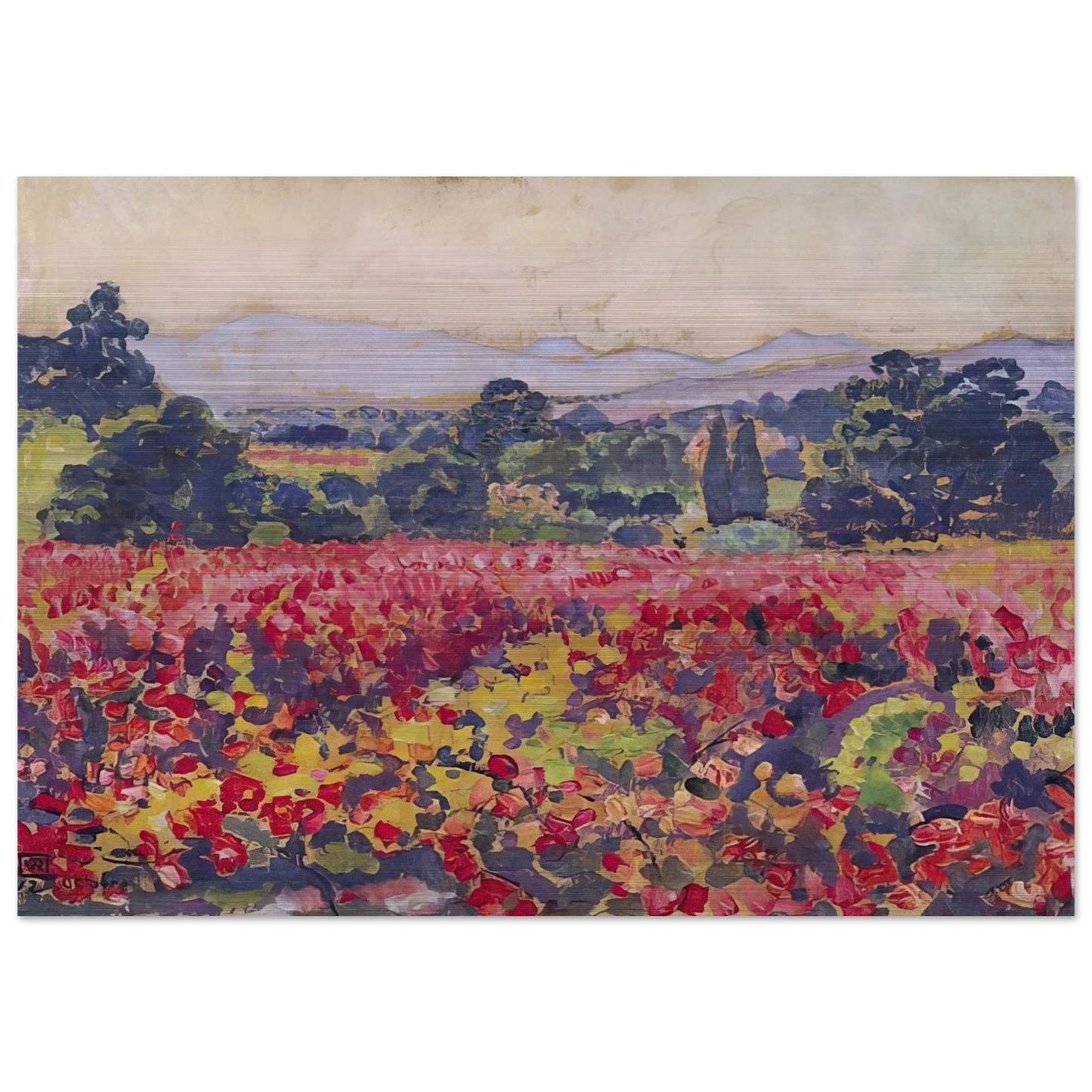 THE VINES IN SAINT CLAIR 1912 - Theo van Rysselberghe Brushed Aluminum Print - 70x100 cm / 28x40 inches | Theo van Rysselberghe Aluminum Print | Theo van Rysselberghe Prints
