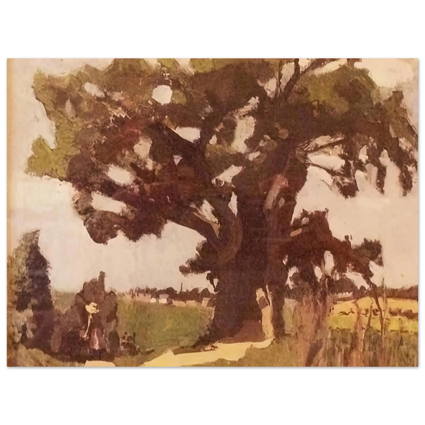 Henri Matisse - BLASTED OAK BOHAIN 1903  75x100 cm / 30x40inches Fine Art Poster