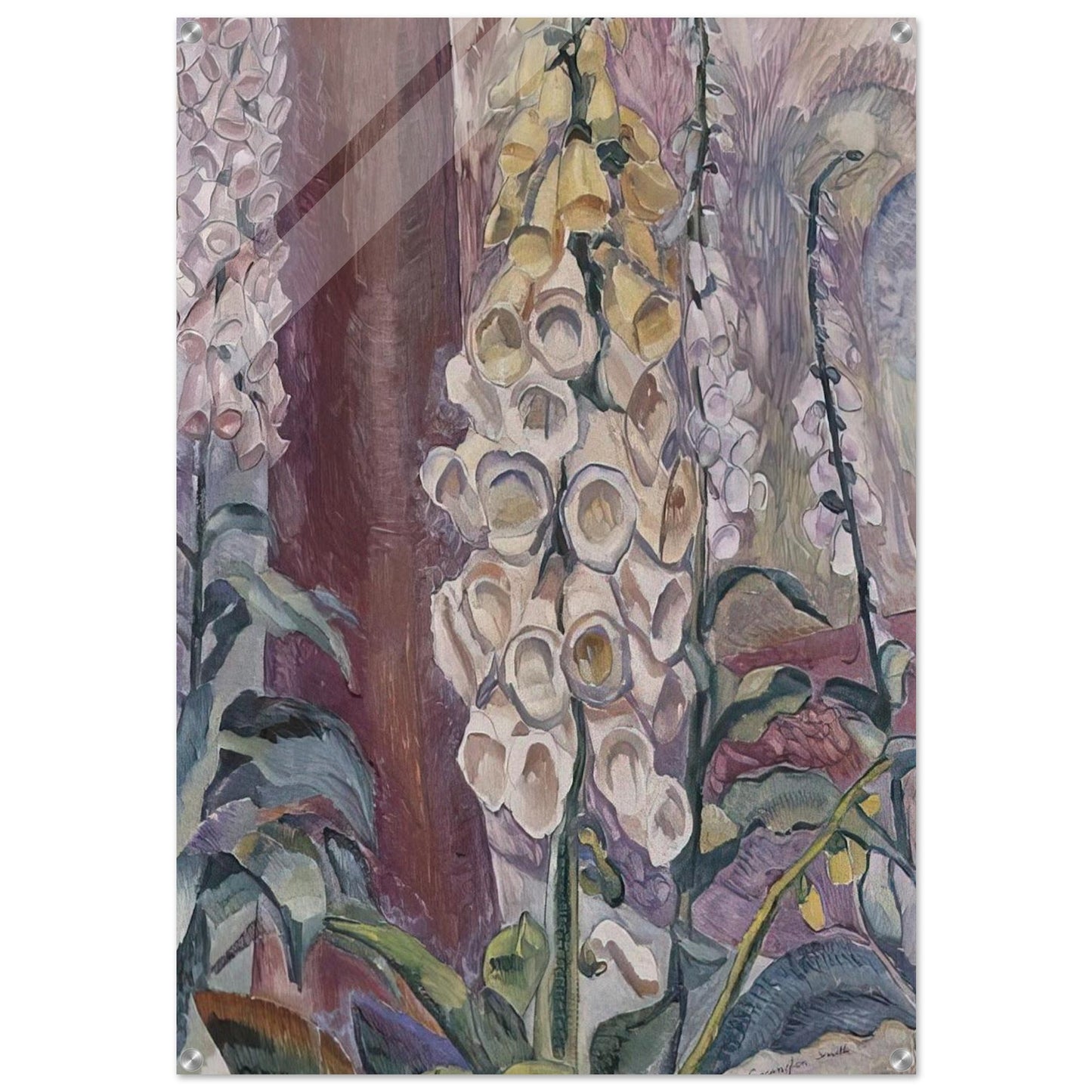Foxgloves growing - 1929 - Grace Cossington Smith Acrylic Print - 70x100 cm / 28x40″ inches | Grace Cossington Smith Wall Art | Grace Cossington Smith Prints