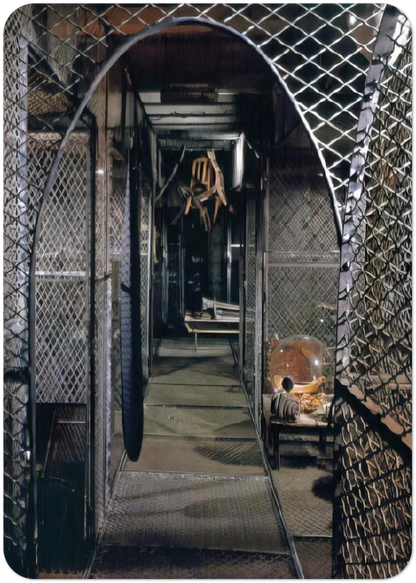 DANGEROUS PASSAGE 1997 By Louise Bourgeois Pack of 10 Post Cards | Louise Bourgeois Post Cards | A6 (10.5 x 14.8 cm) - 4.1 x 5.8 inches