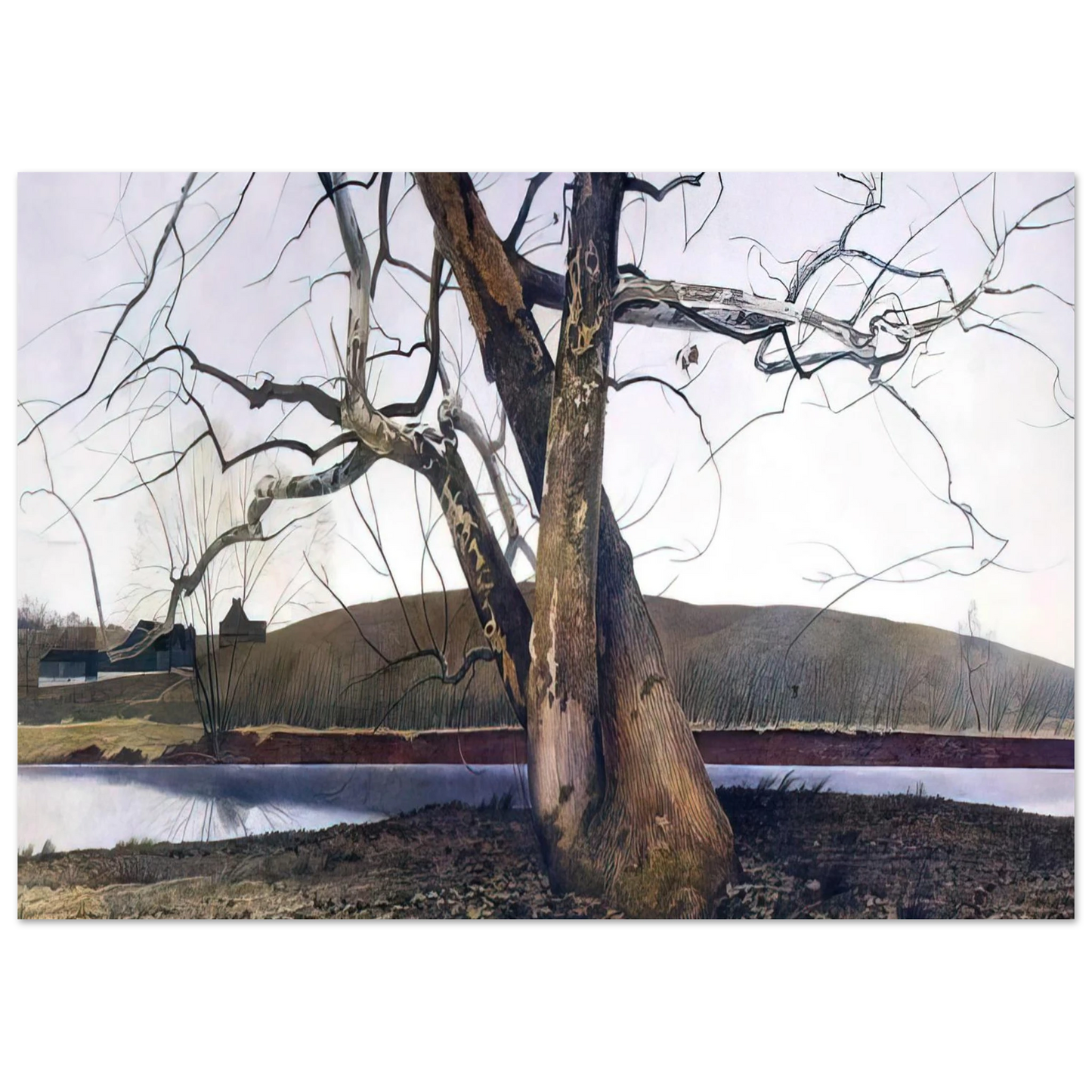 Andrew Wyeth - DIL HUEY FARM Wall Art - 60x80 cm / 24x32 inches - Fine Art Poster-canvas - -