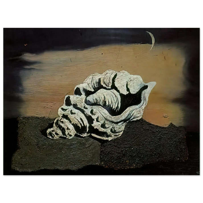 Salvador Dali - SHELL  75x100 cm / 30x40inches Fine Art Poster