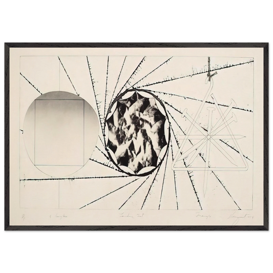 Sunglasses - Landing Net - Triangle - James Rosenquist 70x100 cm / 28x40 inches Framed Art Print – Black Wooden Frame