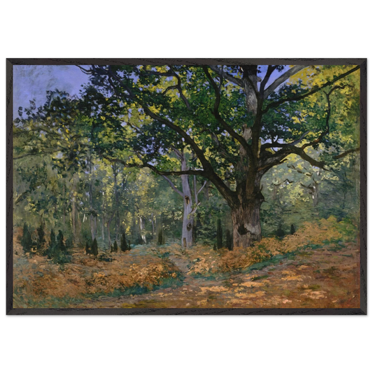 The Bodmer Oak Fontainebleau - claude monet 70x100 cm / 28x40 inches Framed Art Print – Black Wooden Frame