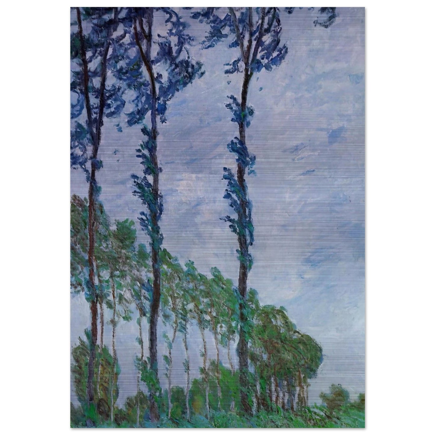 Poplars, Wind Effect - claude monet Brushed Aluminum Print - 70x100 cm / 28x40 inches | claude monet Aluminum Print | claude monet Prints