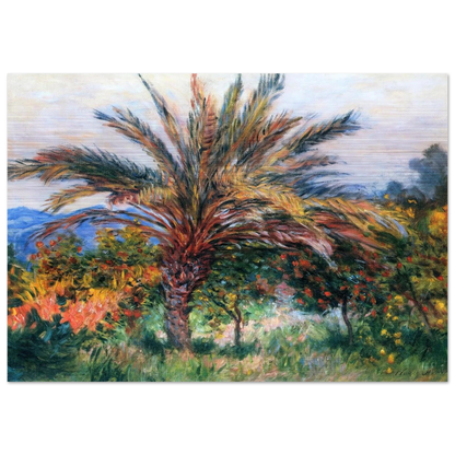 Palm Tree at Bordighera - claude monet Brushed Aluminum Print - 70x100 cm / 28x40 inches | claude monet Aluminum Print | claude monet Prints