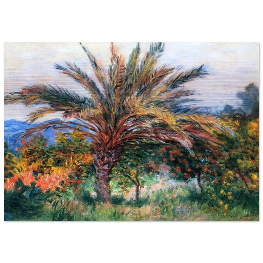 Palm Tree at Bordighera - claude monet Brushed Aluminum Print - 70x100 cm / 28x40 inches | claude monet Aluminum Print | claude monet Prints
