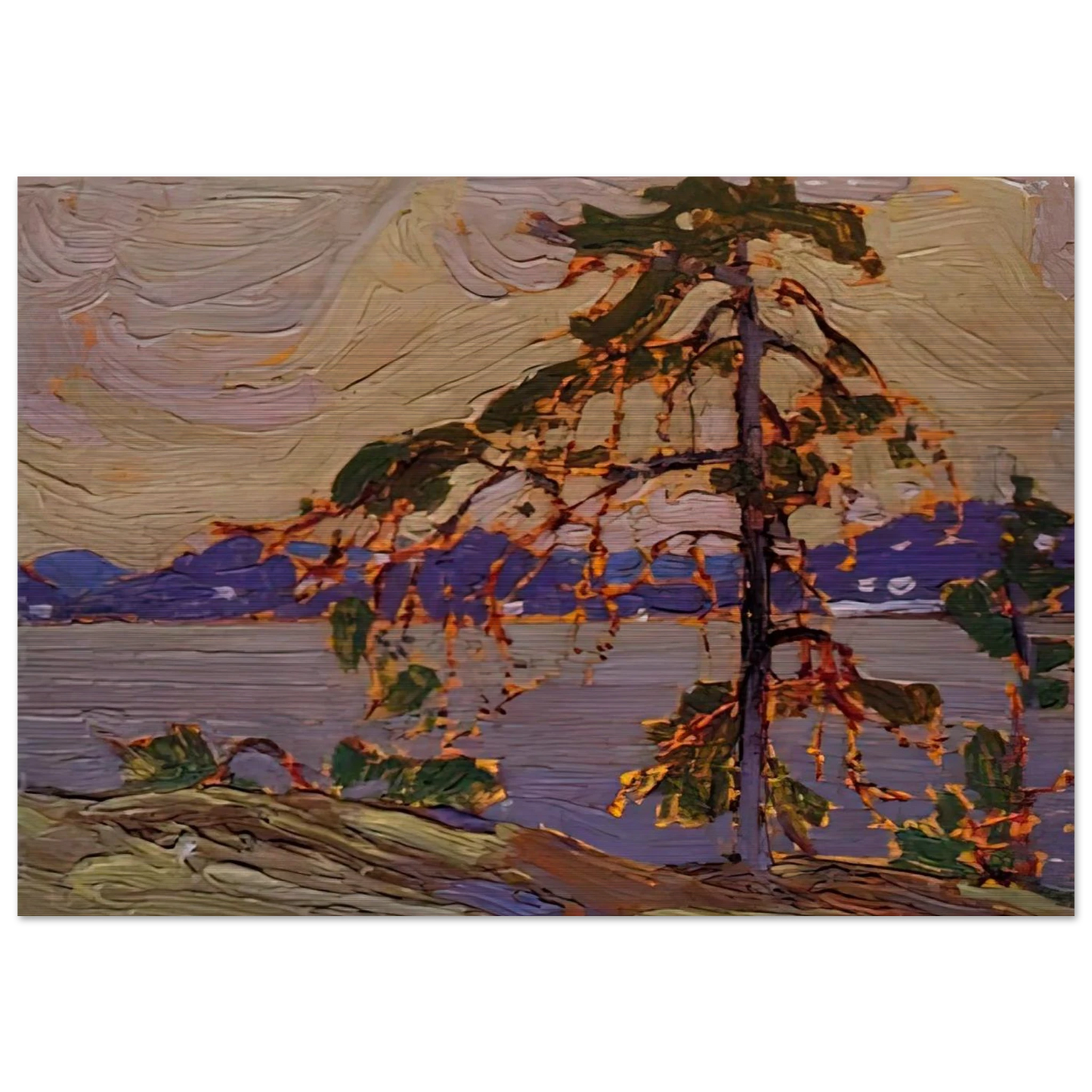 SKETCH FOR THE JACK PINE 1916 - Tom Thomson Brushed Aluminum Print - 70x100 cm / 28x40 inches | Tom Thomson Aluminum Print | Tom Thomson Prints