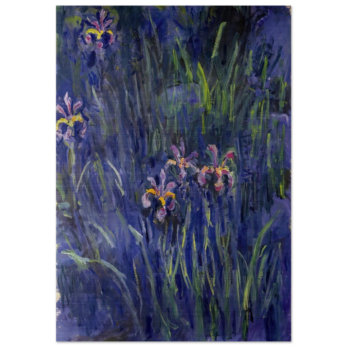 Irises 2 - claude monet Brushed Aluminum Print - 70x100 cm / 28x40 inches | claude monet Aluminum Print | claude monet Prints