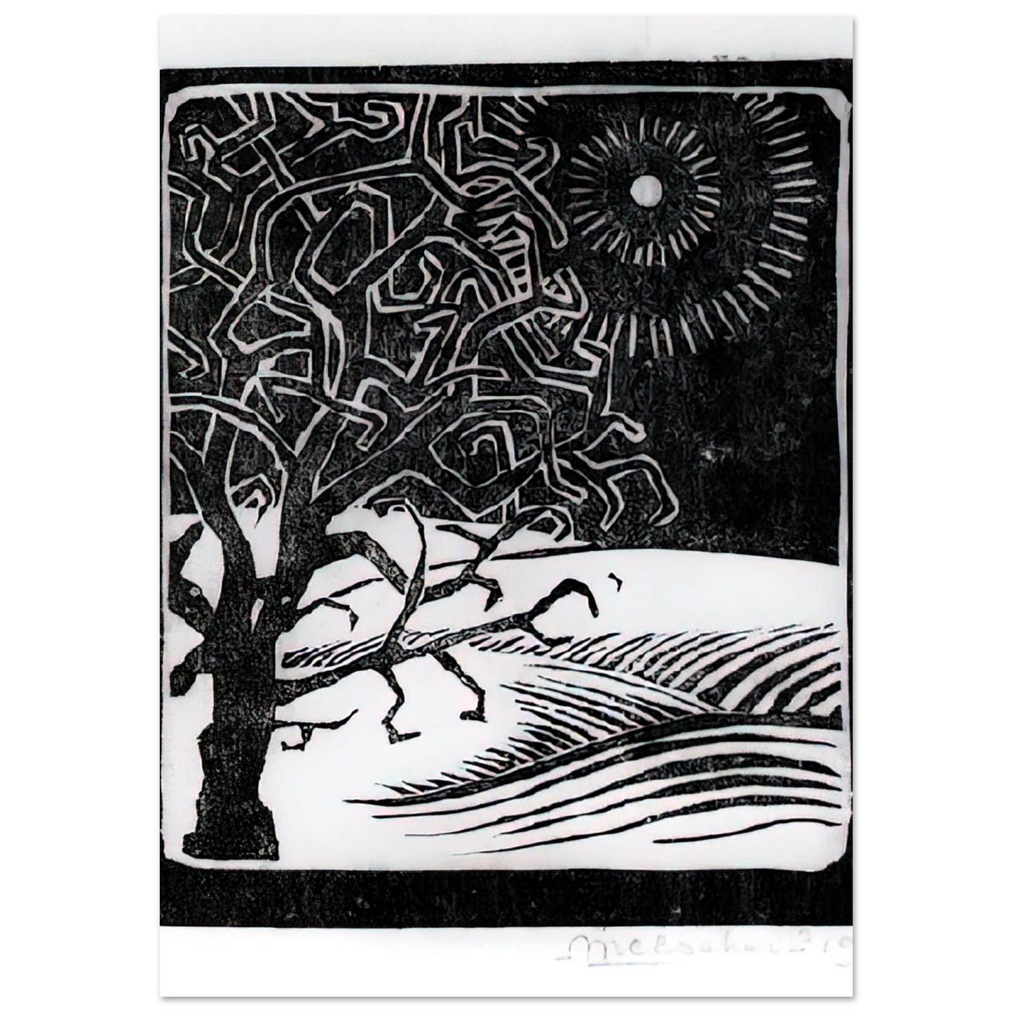MC Escher - THE BORGER OAK Wall Art - 30x40 cm / 12x16 inches - Fine Art Poster-canvas - -