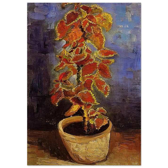 Coleus Plant in a Flowerpot - Vincent van Gogh Brushed Aluminum Print - 70x100 cm / 28x40 inches | Vincent van Gogh Aluminum Print | Vincent van Gogh Prints