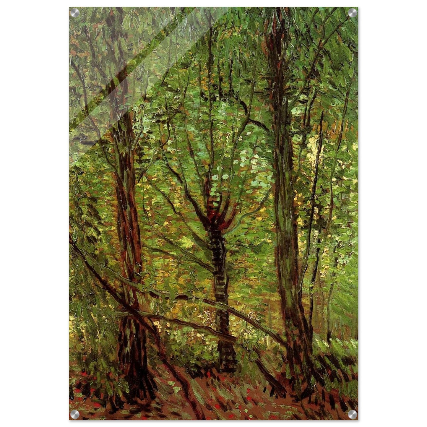 Trees and Undergrowth - Vincent van Gogh Acrylic Print - 70x100 cm / 28x40″ inches